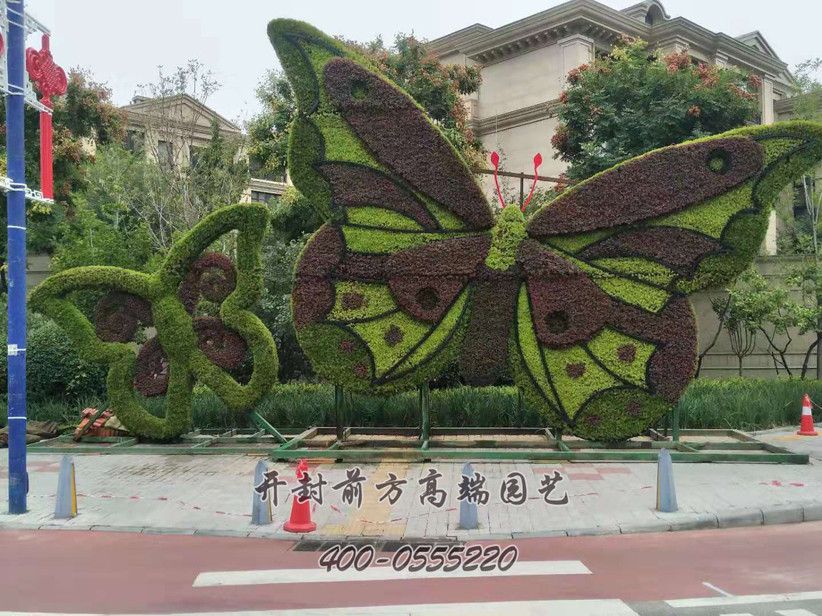 北京大興區(qū)菊花造型修飾