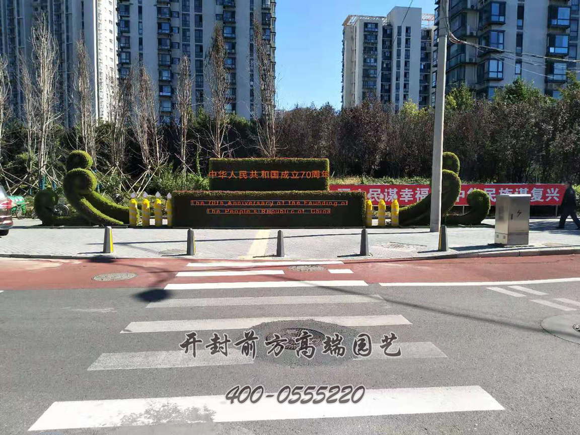 北京大興區(qū)菊花造型修飾