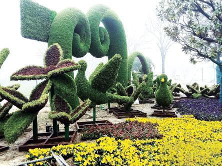 揚州五色草-“4·18”主會場氣膜館掃尾，五色草“萌物”太吸睛